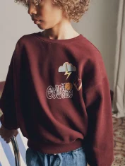 detail-print-sweat-garcon-maxime-brun-marlot-paris