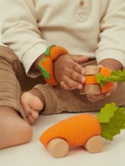 baby-cars-toys-cathy-carrot-2_ee8b8233-0930-46f4-a632-8e5fae66e189