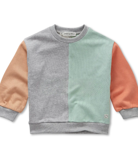 Sweat Colorblock - Sproet and Sprout